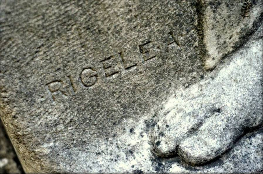 1098465_10200930645846791_775830901_n%20(1)